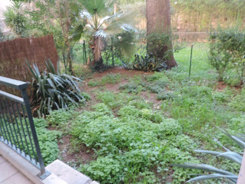 location Appartement Nimes - Photo 2