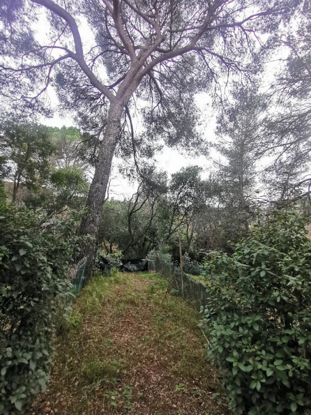 location Appartement Nimes - Photo 4