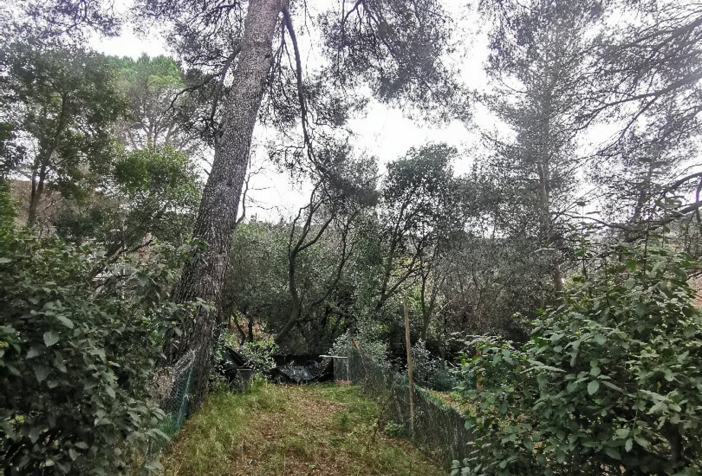 location Appartement Nimes - Photo 4