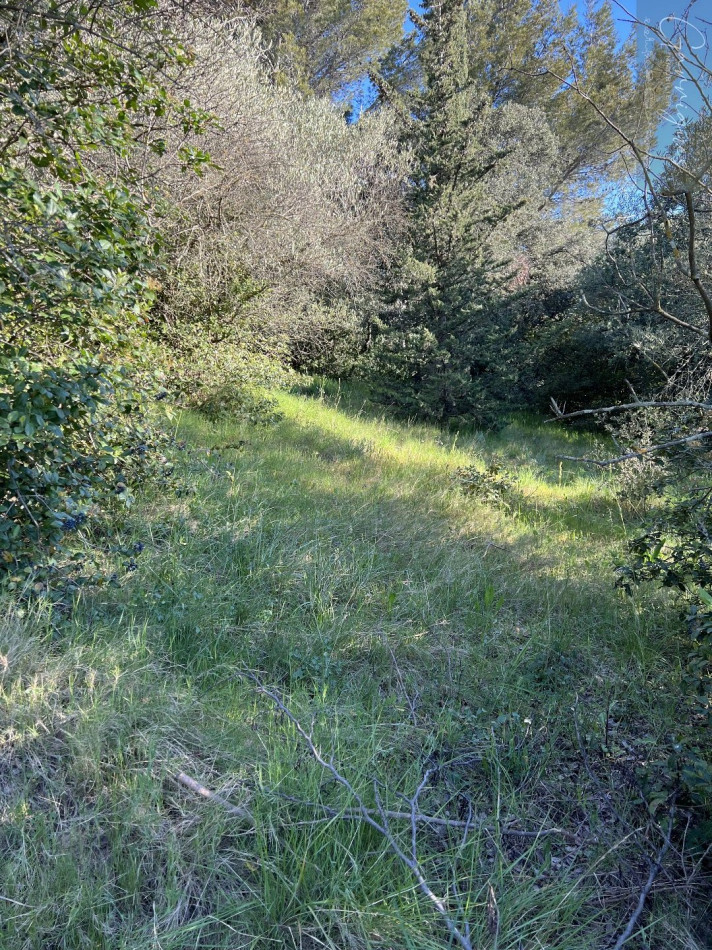 vente Terrain constructible Milhaud - Photo 1