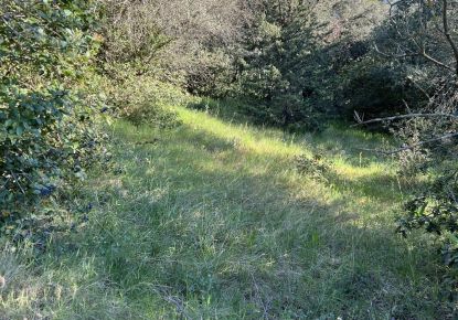 vente Terrain constructible Milhaud