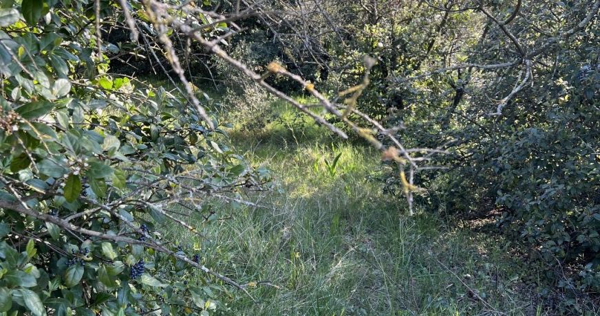 vente Terrain constructible Milhaud