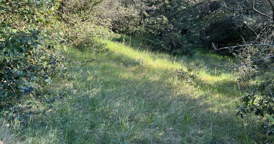 vente Terrain constructible Milhaud