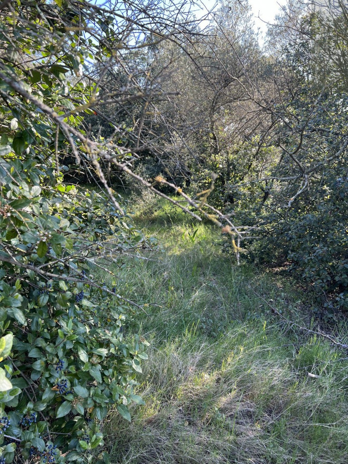 vente Terrain constructible Milhaud - Photo 2