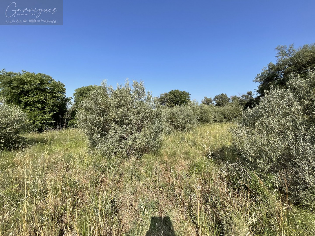 vente Terrain de loisir Milhaud - Photo 1