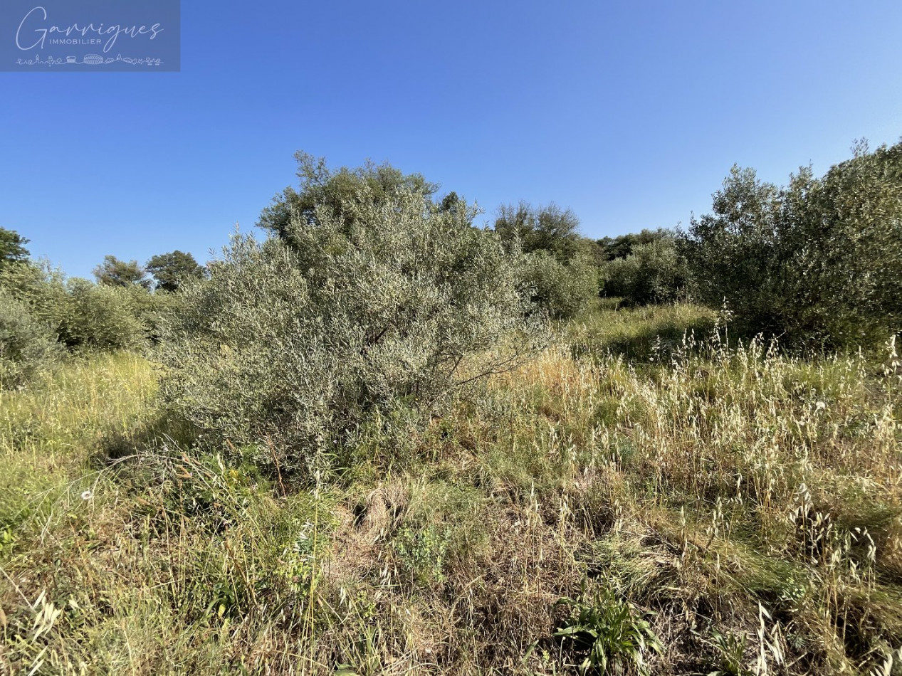 vente Terrain de loisir Milhaud - Photo 2