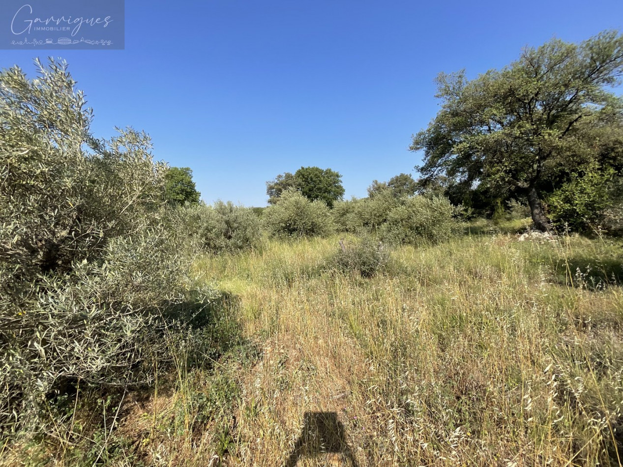 vente Terrain de loisir Milhaud - Photo 3