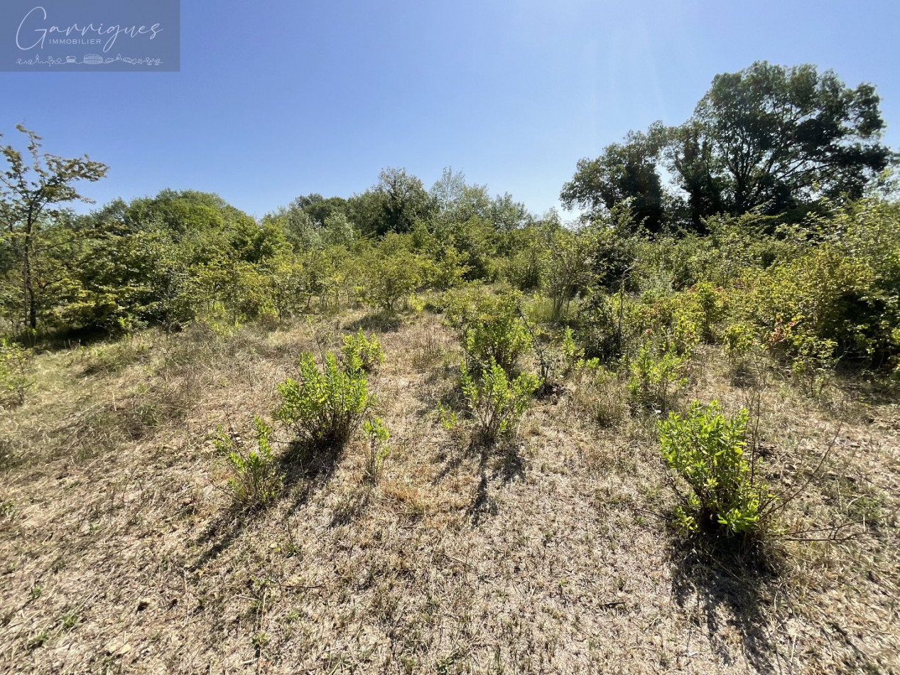 vente Terrain agricole Milhaud - Photo 1