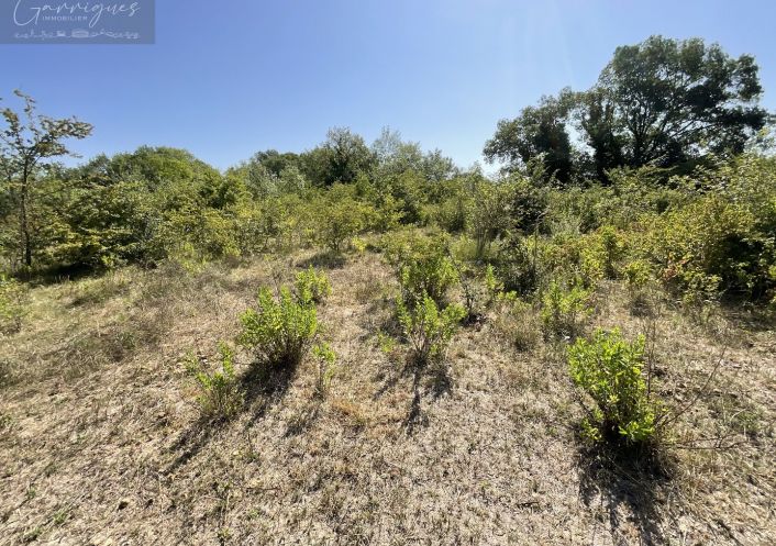 vente Terrain agricole Milhaud