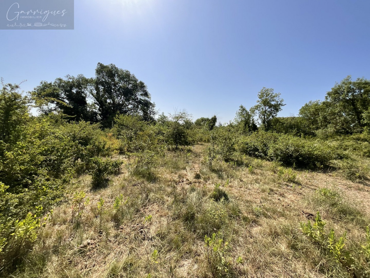 vente Terrain agricole Milhaud - Photo 3