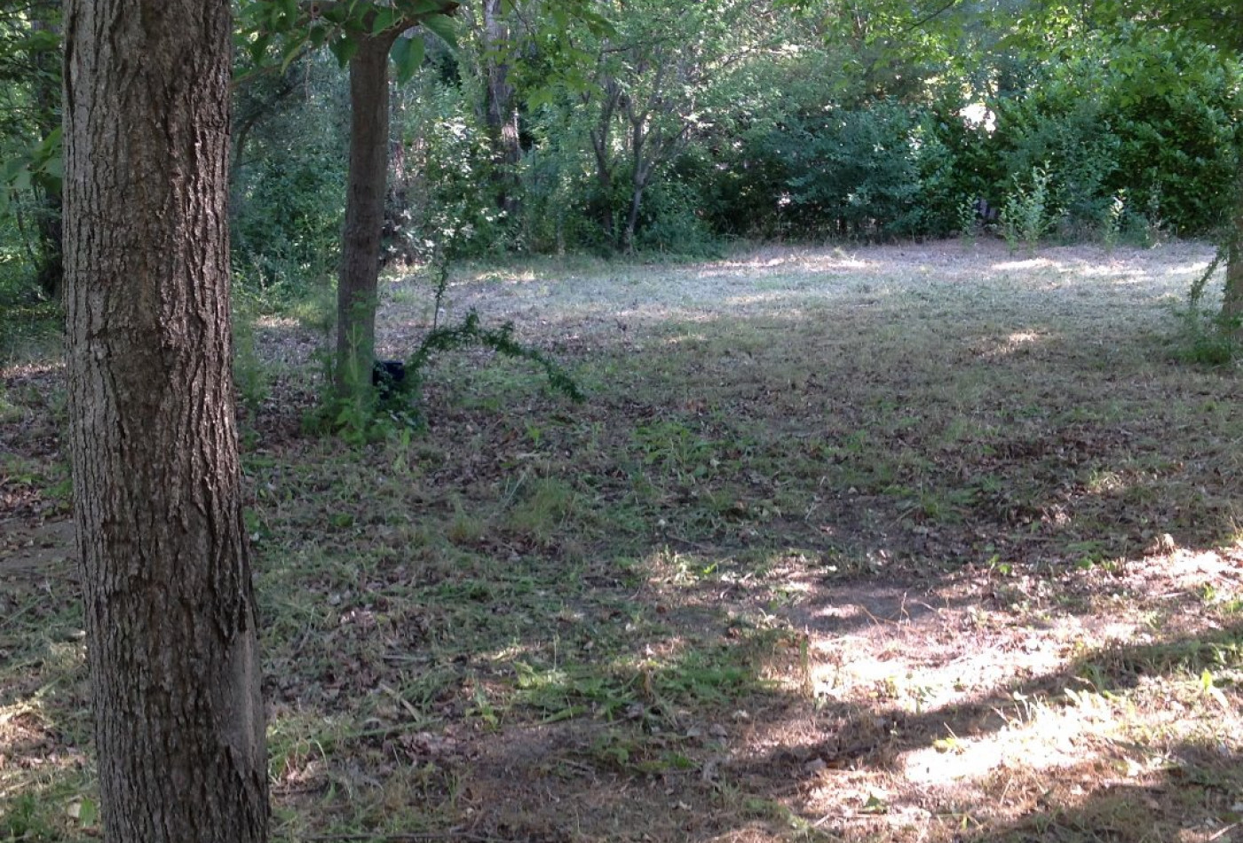 vente Terrain de loisir Milhaud - Photo 5