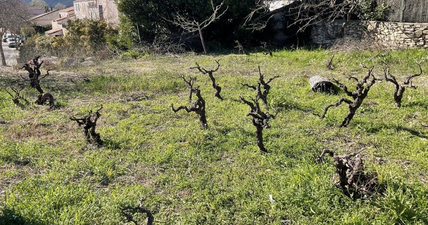 vente Terrain constructible Clarensac