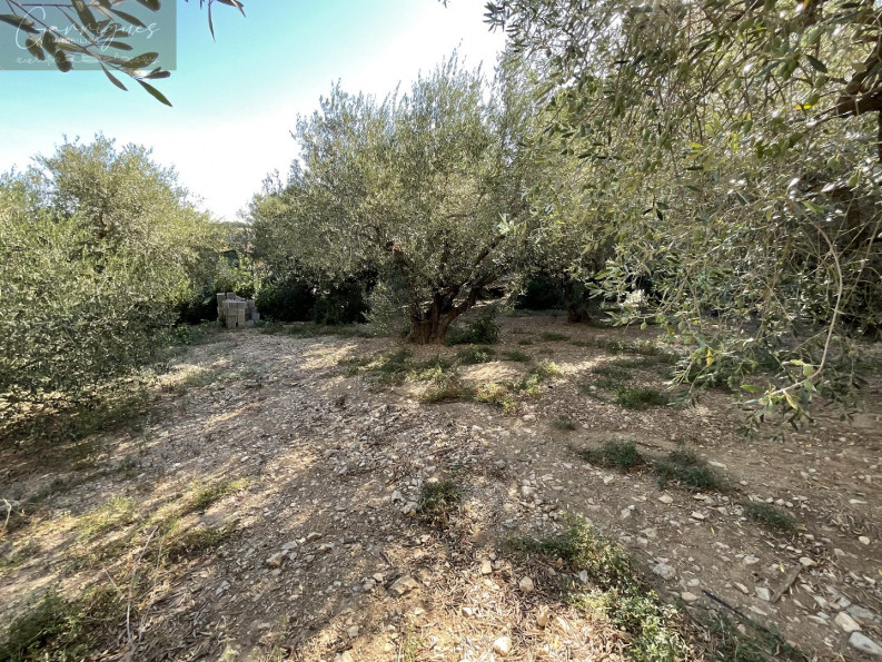 vente Villa Milhaud - Photo 10