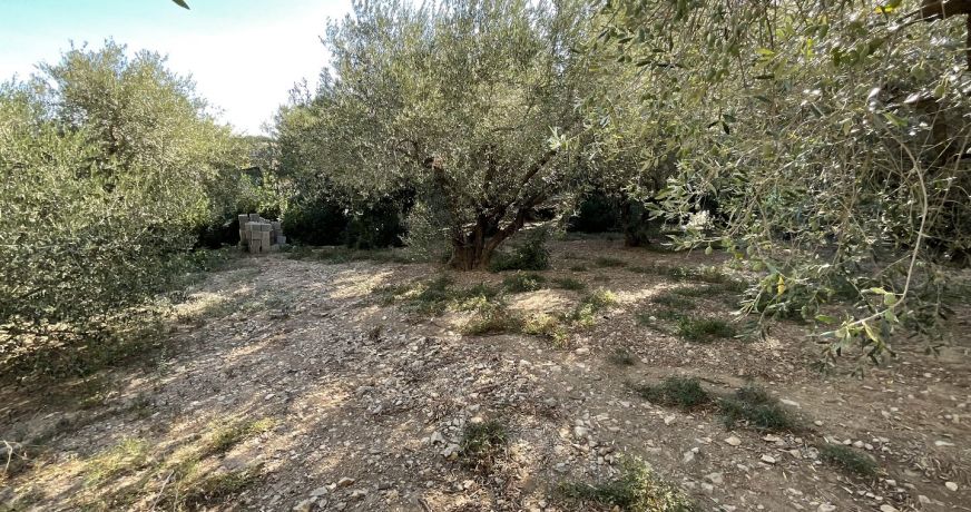 vente Villa Milhaud