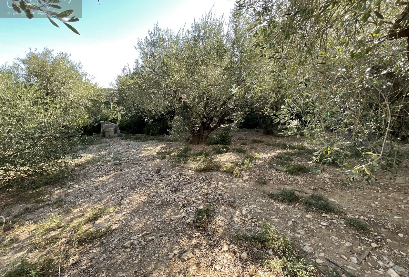 vente Villa Milhaud - Photo 10