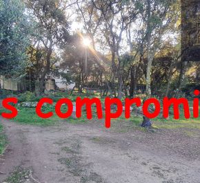 vente Sussargues
