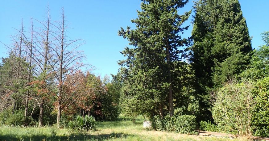 vente Maison de campagne Saint Come Et Maruejols