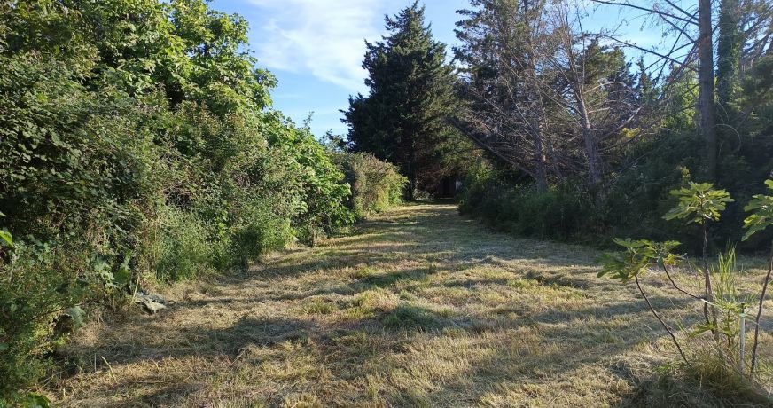 vente Maison de campagne Saint Come Et Maruejols