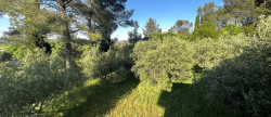 vente Maison de campagne Calvisson