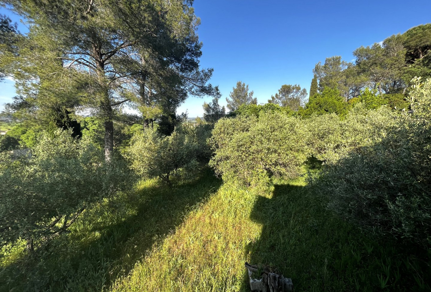 vente Maison de campagne Calvisson - Photo 3