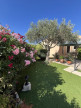 vente Villa Calvisson