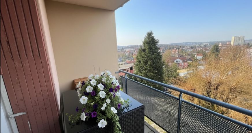 vente Appartement Belfort