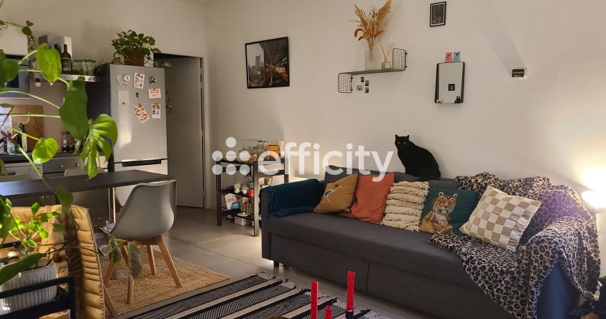 vente Appartement Montpellier
