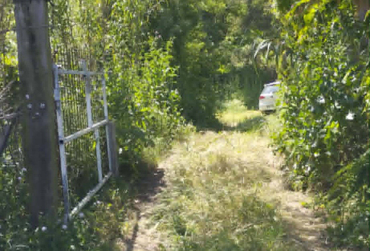 vente Terrain Montfrin - Photo 3