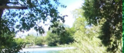 vente Terrain Montfrin