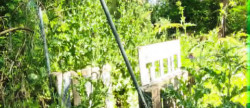 vente Terrain Montfrin