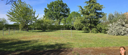 vente Terrain Souillé