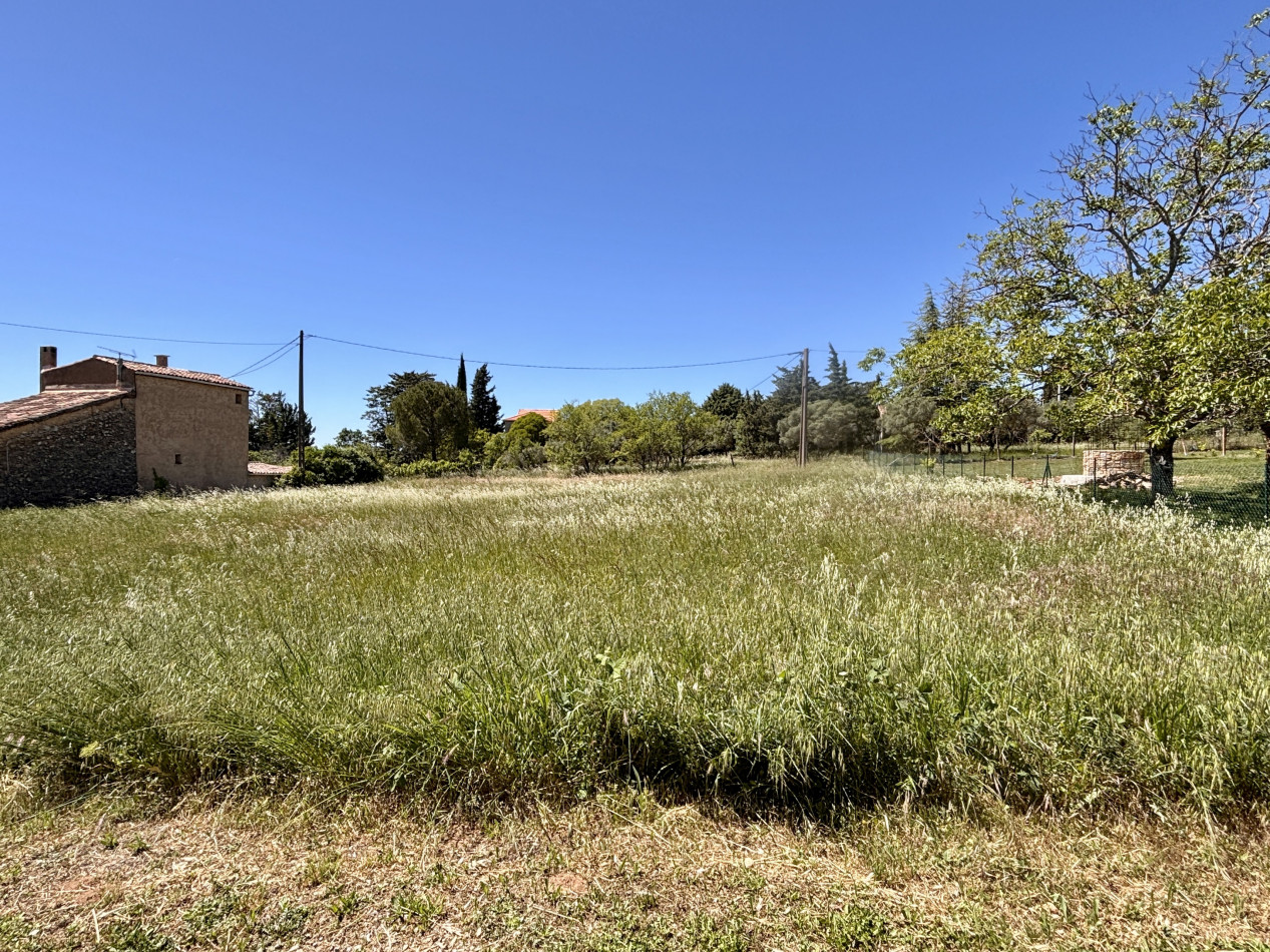 à vendre Terrain Régusse - Photo 1