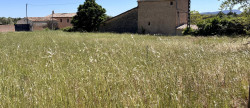 vente Terrain Régusse