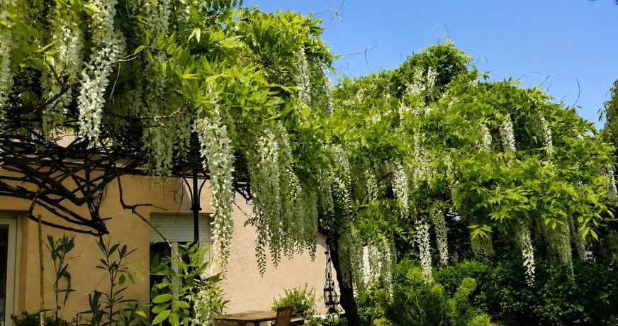 vente Maison Villette D'anthon