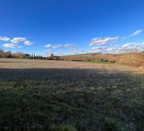 vente Moncaut