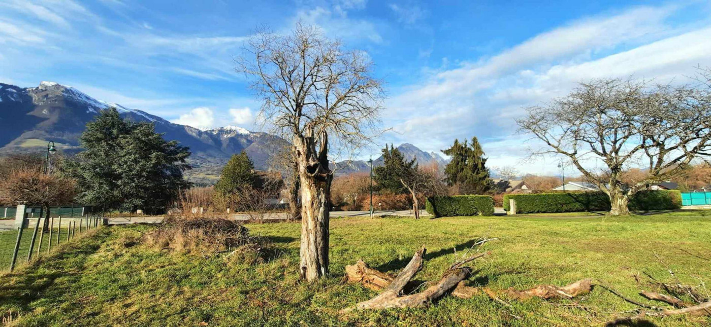 vente Terrain Saint Hélène Sur Isère - Photo 3