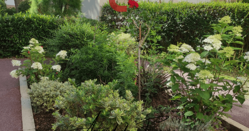 vente Appartement La Celle Saint Cloud