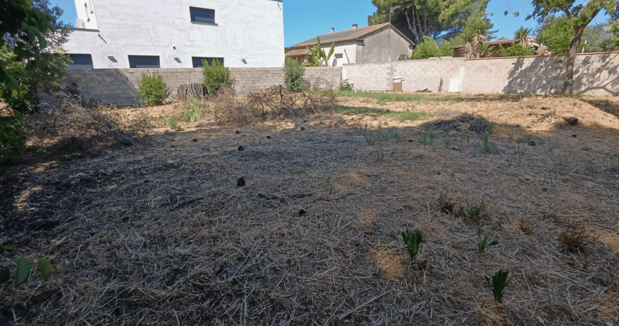 vente Terrain Bernis