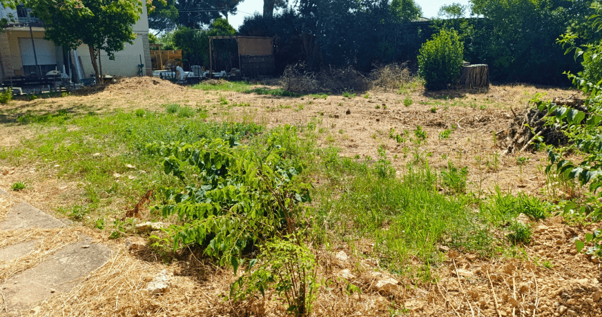 vente Terrain Bernis