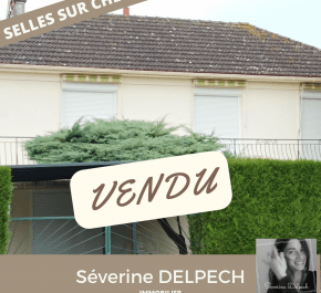 vente Selles Sur Cher