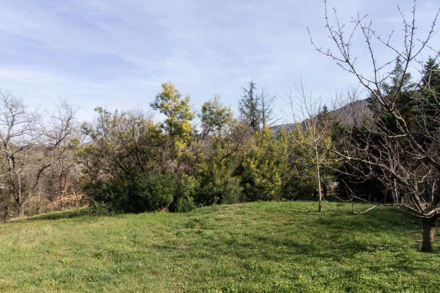à vendre Maison Flaviac - Photo 6