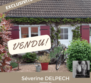 vente Selles Sur Cher