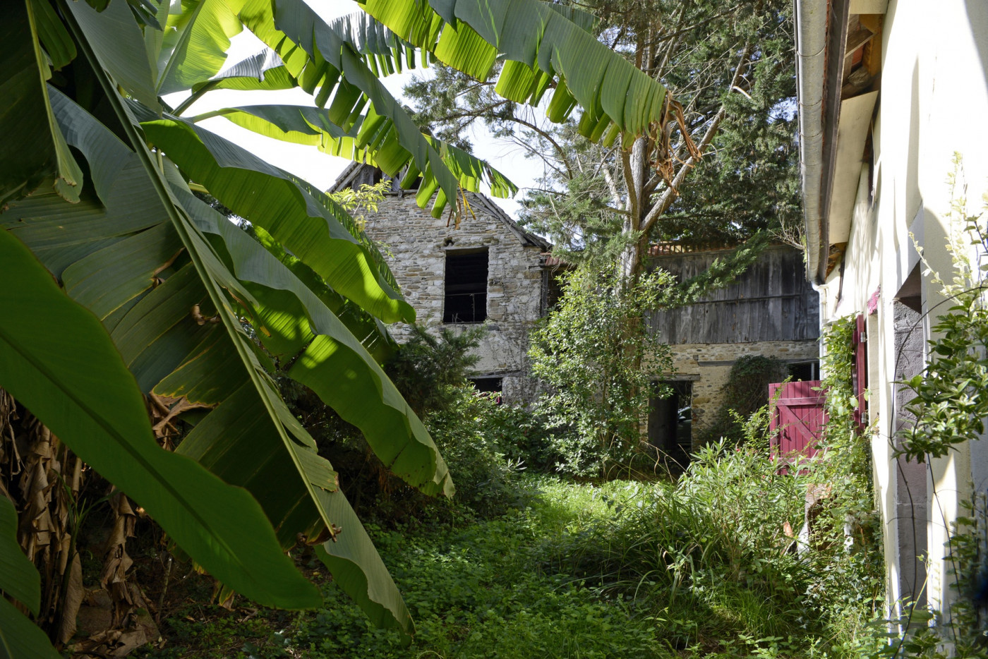à vendre Maison Barraute Camu - Photo 5