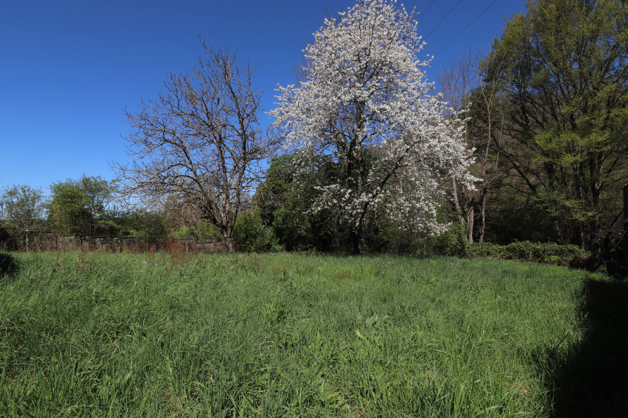 vente Local commercial Pineuilh - Photo 2