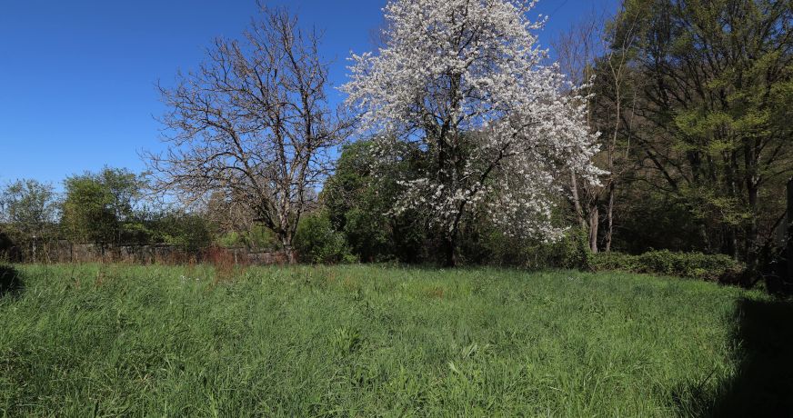 vente Local commercial Pineuilh