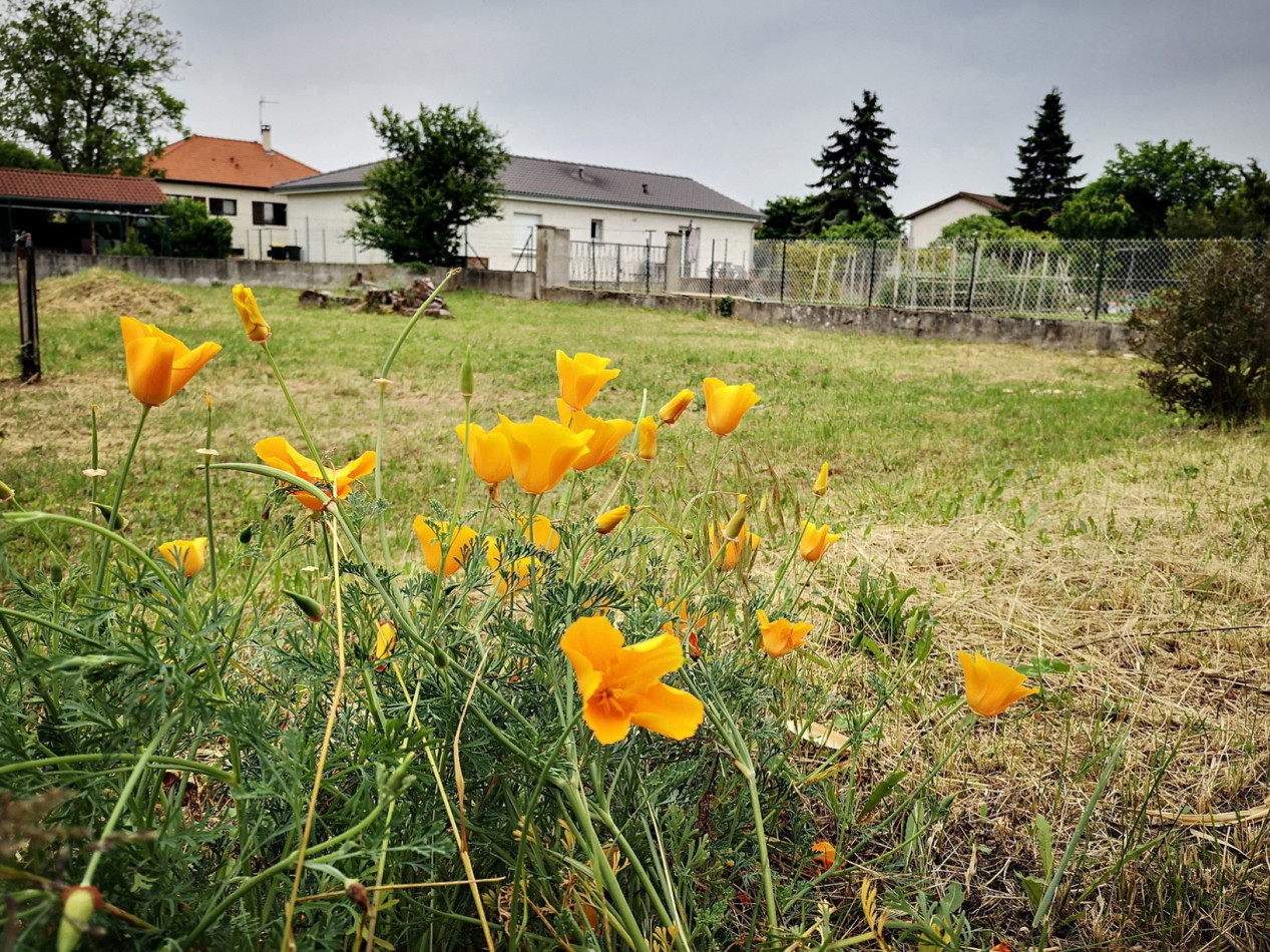 à vendre Maison Jonage - Photo 16
