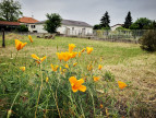 à vendre Maison Jonage