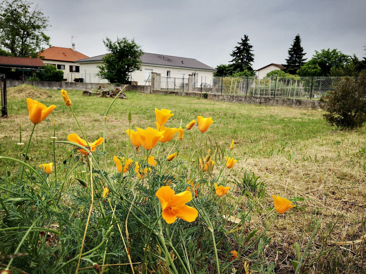 à vendre Maison Jonage - Photo 17