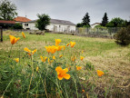 à vendre Maison Jonage