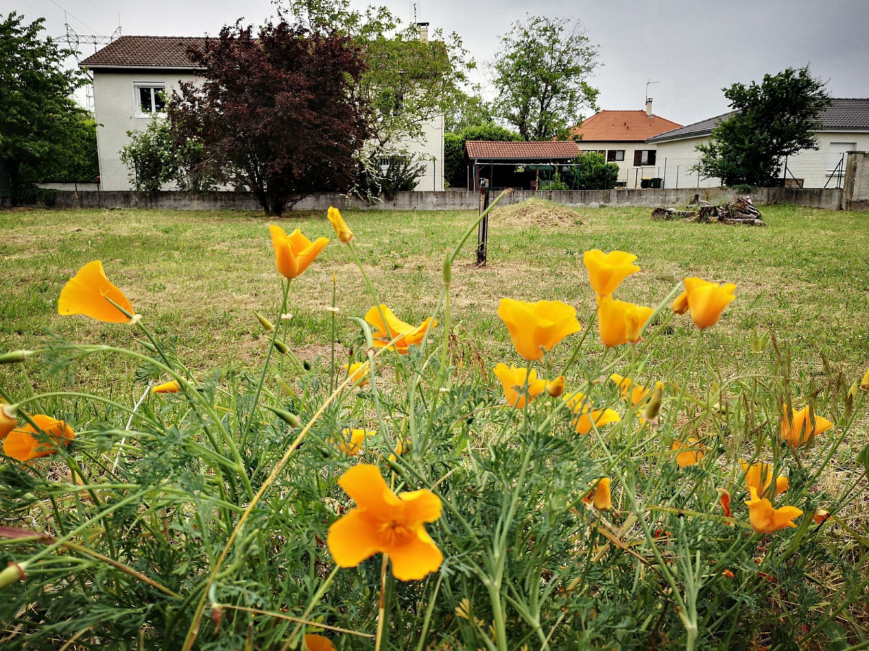à vendre Maison Jonage - Photo 26